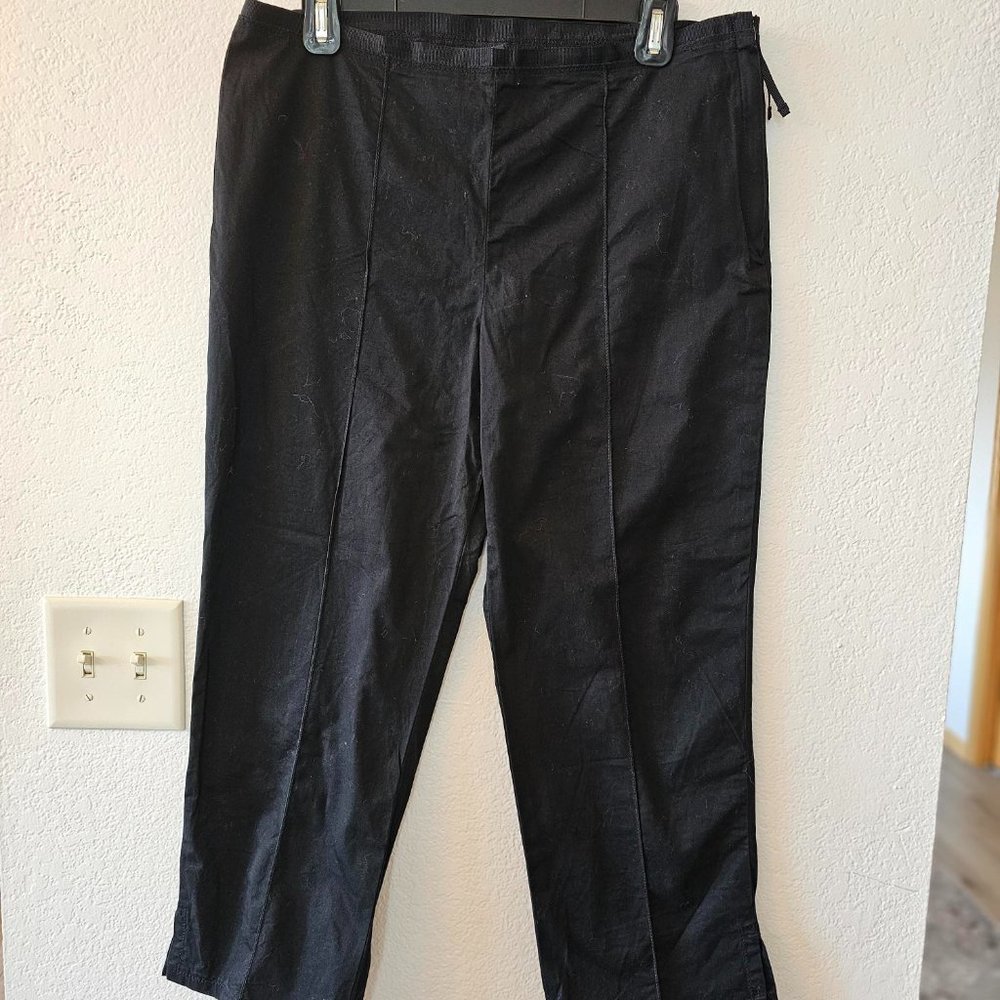 GAP Black Ankle Pants Size 10 - Side Zip - Stitched Pleats - Bi Stretch